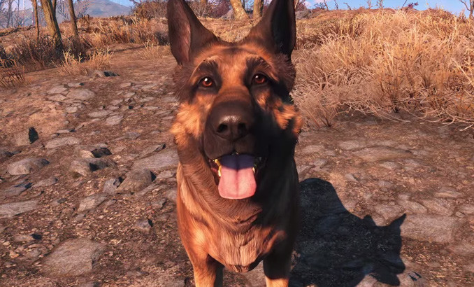 Fallout 4 ドッグミート のモデルになったリバーくんにフィーチャーした動画 Fallout4 情報局