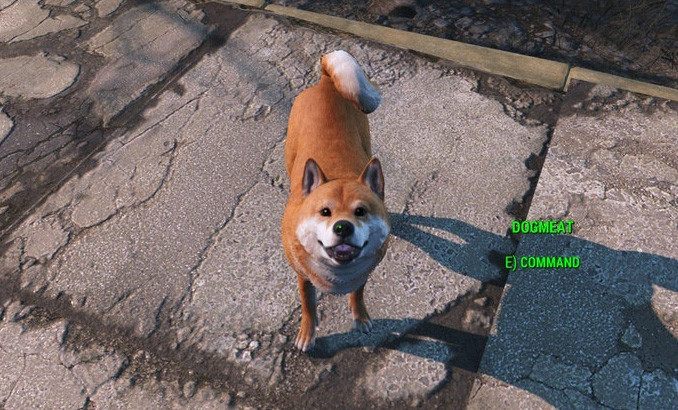 Fallout4 4月の新クリエーションで柴犬がリリース Fallout4 情報局