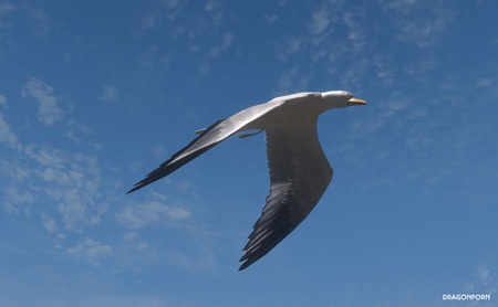 270