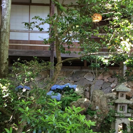 IMG_1494 (編集済み)