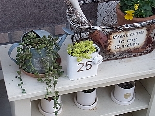 ゆみとままのおうち日記