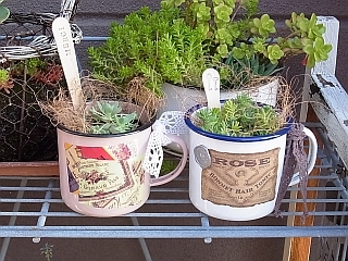 ゆみとままのおうち日記