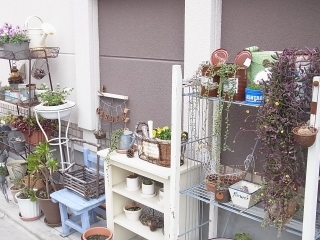 ゆみとままのおうち日記