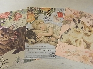 ゆみとままのおうち日記