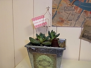 ゆみとままのおうち日記
