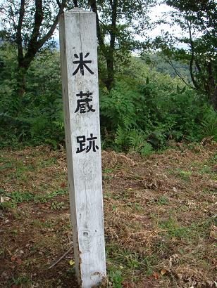 22392aaa.jpg
