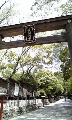 362e0c07.jpg