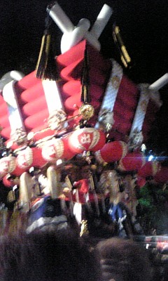 3d218155.jpg
