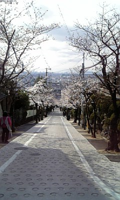 c3e7a8a8.jpg