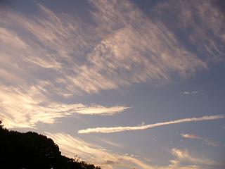 f6d36c6b.jpg