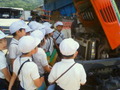 817c4a1d.jpg