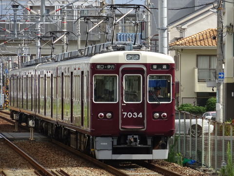 DSC02903