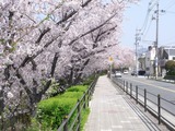 RIMG3743