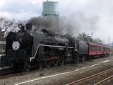 RIMG3354