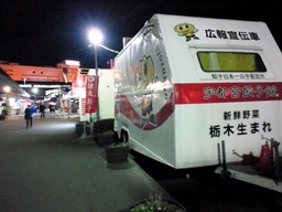 95f8e17e.jpg