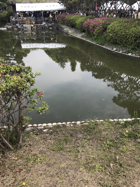 S_6049827886937
