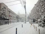 snow