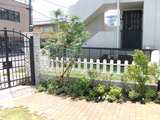 RIMG0210