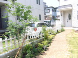 RIMG0211