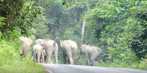 zoo9