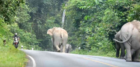 zoo5