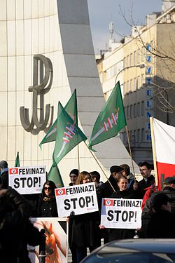 Feminazi_STOP!