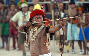300px-Brazilarcher