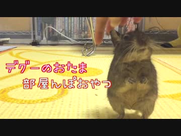 smile (1)