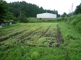 e0d8580a.JPG