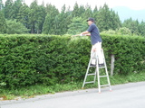 f874909e.JPG