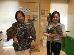 ③