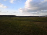 831414f6.jpg