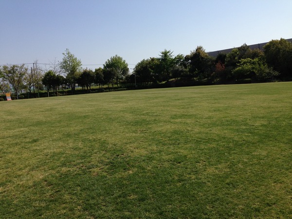 なぎさ公園小学校グラウンド2