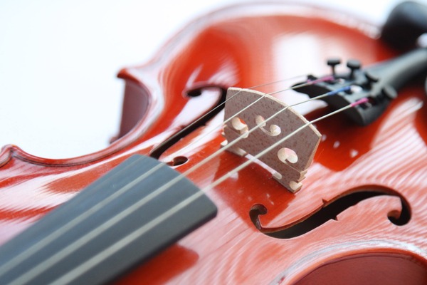 Violin