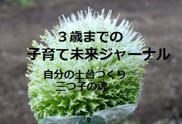 3歳までの子育て未来ジャーナルロゴ1