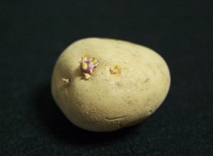 a0002_001103