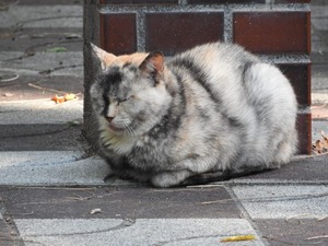 a0960_007658