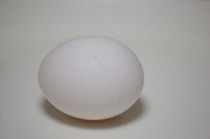 a0006_002311