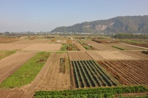 a0002_004523