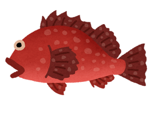fish_kasago