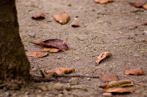 a0006_000692