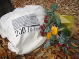 f5ee1259.JPG