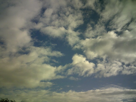 DSCF0066