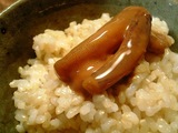 発芽玄米ご飯とイカの塩辛