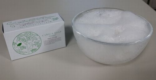 植物性カリカ石鹸が本日より新発売