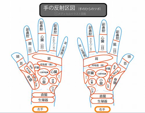 手の反射区図