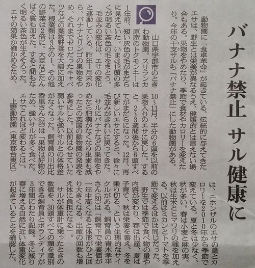 バナナ禁止　サル健康に