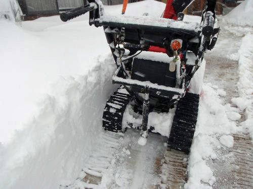 新雪の積雪は約50〜60センチになりました