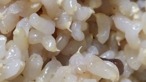 「いただきま~す!」