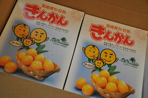 日南海岸黒潮市場さんから甘熟きんかん」が届きました